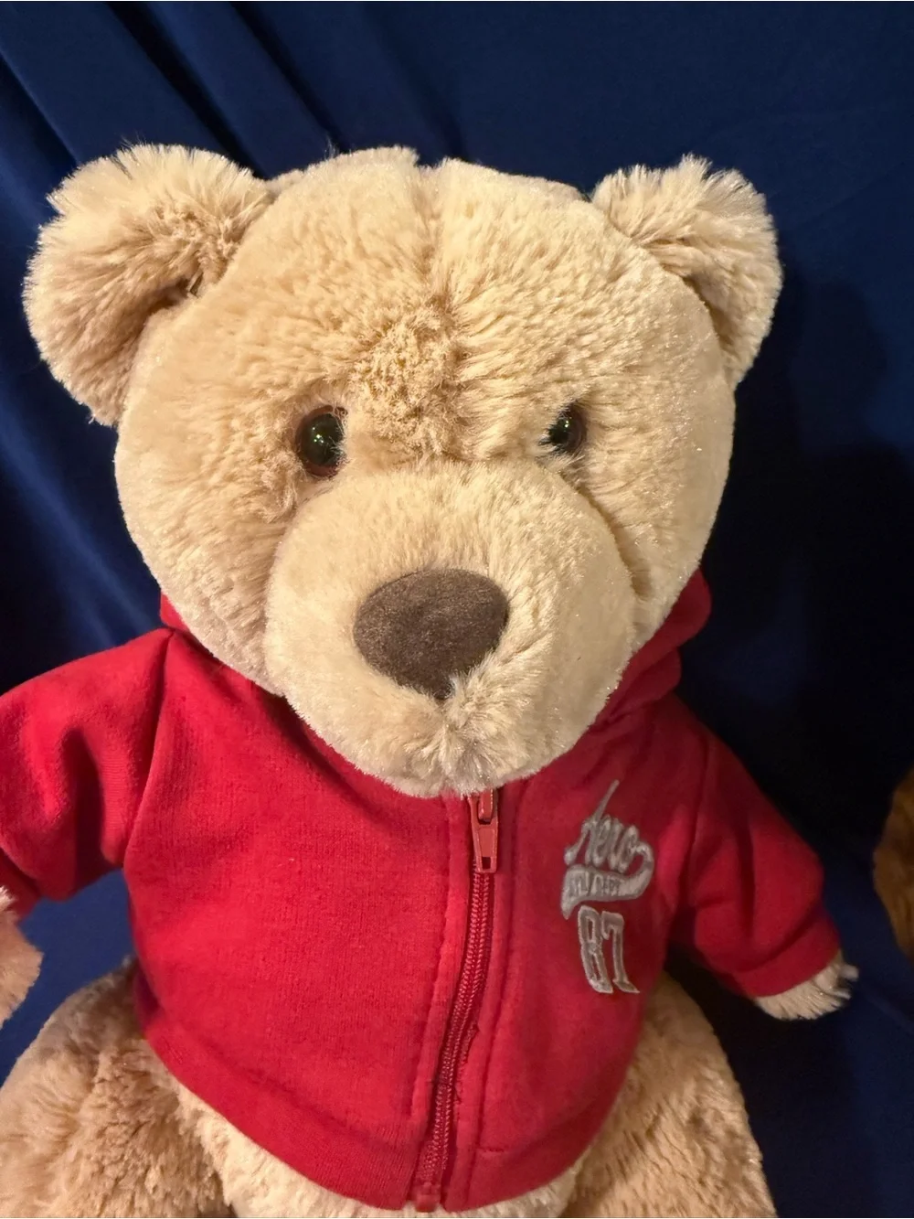 Aeropostale Teddy Bear Plush Red Hoodie 15” NWT A87